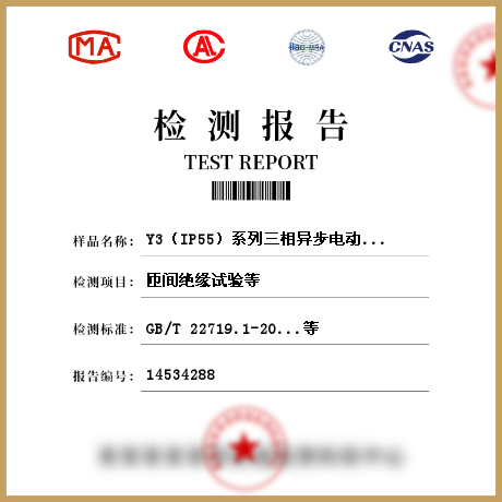 Y3（IP55）系列三相異步電動機(jī)檢測